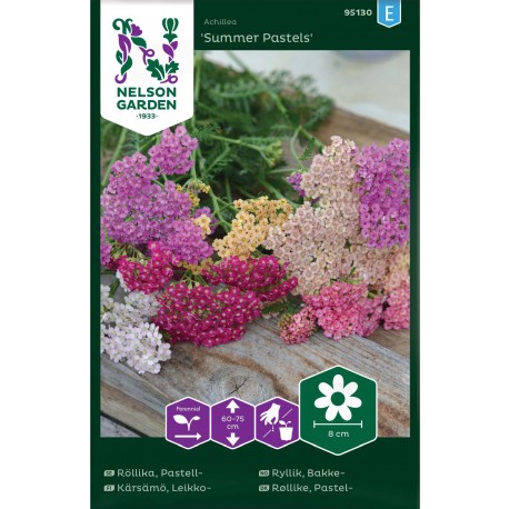 Röllika 'Summer Pastels' frö 1-pack