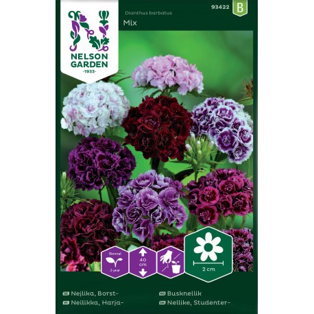 Borstnejlika, mix frö 1-pack