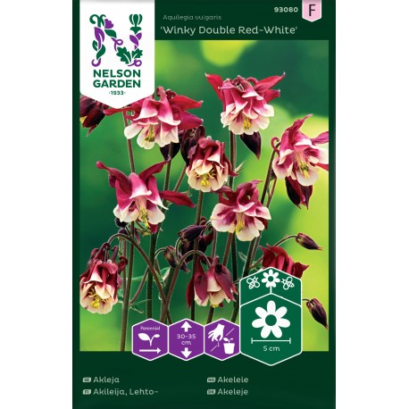 Akleja 'Winky Double Red-White' frö 1-pack