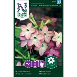 Blomstertobak 'Avalon Lime/Purple Bicolour' F1 frö 1-pack