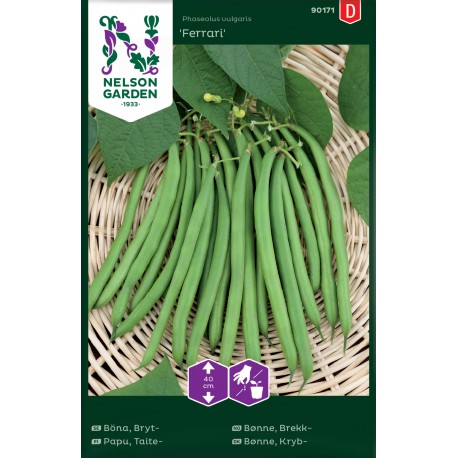 Brytböna 'Ferrari' frö 1-pack