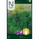 Dill 'Como' frö 1-pack