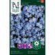 Förgätmigej 'Blue Ball' frö 1-pack
