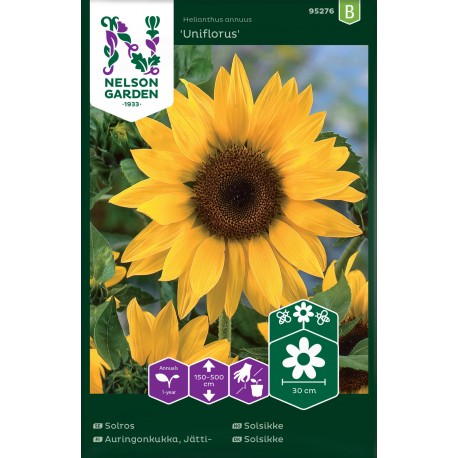 Jättesolros 'Uniflorus' frö 1-pack