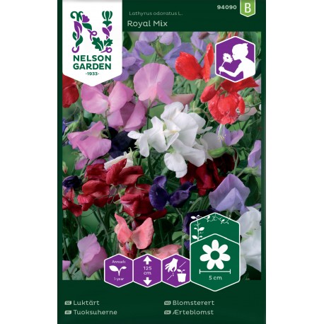 Luktärt 'Royal' frö 1-pack