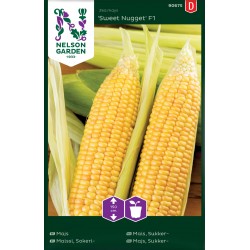 Majs 'Sweet Nugget' F1 frö 1-pack