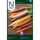 Morot 'Harlequin Mix' F1 frö 1-pack