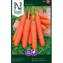 Morot 'Nantaise 2' frö storpack&nbsp;1-pack