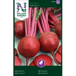 Rödbeta 'Detroit 2' frö 1-pack