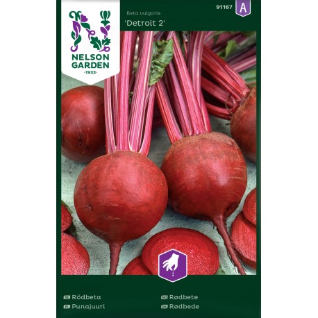 Rödbeta 'Detroit 2' frö 1-pack