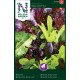 Sallat, blandning 'Baby Leaf' frö 1-pack