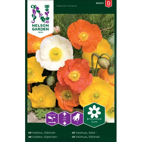 Sibirisk vallmo frö 1-pack