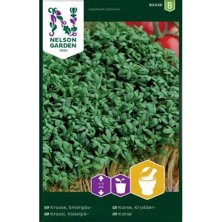 Smörgåskrasse frö&nbsp;1-pack utg