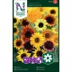 Solros Wilde Mixture frö 1-pack
