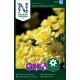 Tagetes 'Alumia Vanilla Cream' frö 1-pack
