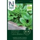 Vintersallat/Mâchesallat 'Vit' frö 1-pack