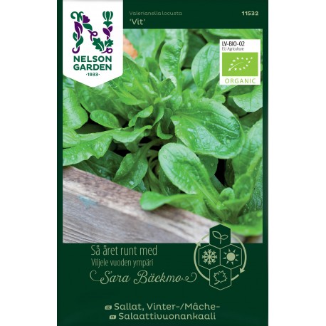 Vintersallat/Mâchesallat 'Vit' frö 1-pack