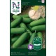 Krukgurka mini 'Iznik' F1 frö 1-pack