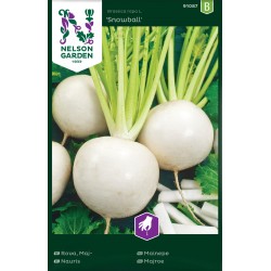 Majrova 'Snowball' frö 1-pack