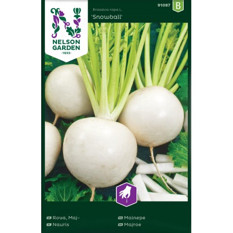 Majrova 'Snowball' frö 1-pack