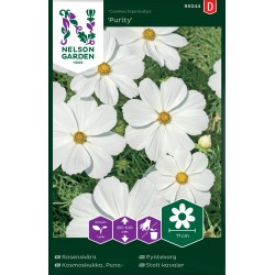 Rosenskära 'Purity' frö 1-pack