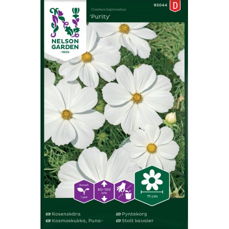 Rosenskära 'Purity' frö 1-pack