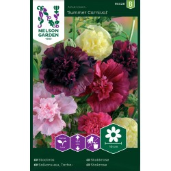 Stockros 'Summer Carnival' frö 1-pack