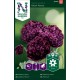 Pionvallmo 'Black Peony' frö 1-pack