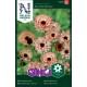 Ringblomma, Bronzed Beauty frö&nbsp;1-pack