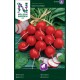 Rädisa 'Cherry Belle' frö 1-pack