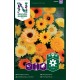 Ringblomma frö 1-pack