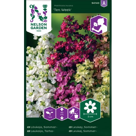 Lövkoja 'Ten Week' frö 1-pack
