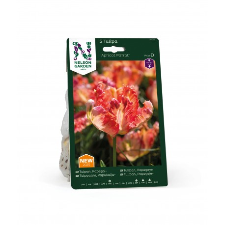 PAPEGOJTULPAN 'Apricot Parrot' 5 st lök/fp