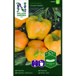 Paprika 'Cuneo Giallo' frö 1-pack