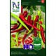 Paprika lång 'Spiralus' frö 1-pack
