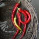 Paprika lång 'Spiralus' frö 1-pack