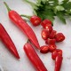 Chilipeppar 'Damián' frö 1-pack