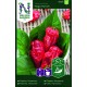 Havannapeppar 'Naga Morich' frö 1-pack