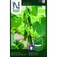 Krukgurka 'Kaikura' F1 Organic frö 1-pack
