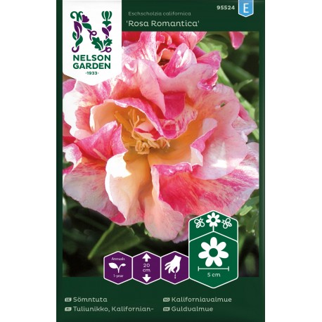 Sömntuta 'Rosa Romantica' frö 1-pack