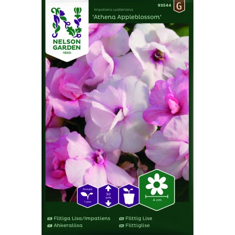 Flitiga Lisa 'Athena Appleblossom' F1 frö 1-pack