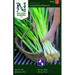Salladslök 'Long White Ishikura' frö&nbsp;1-pack UT