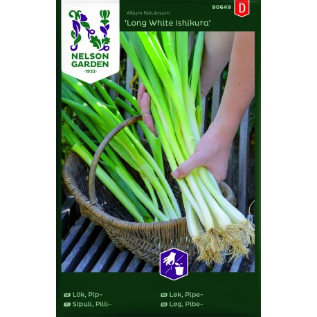 Salladslök 'Long White Ishikura' frö&nbsp;1-pack UT