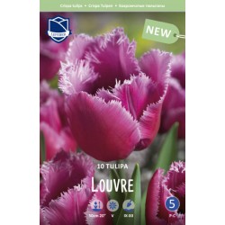 FRANSTULPAN ’LOUVRE’