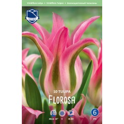 VIRIDIFLORA TULPAN ’FLOROSA’