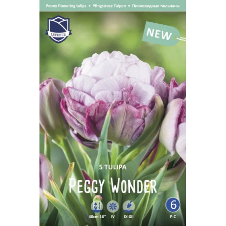 PIONTULPAN ’PEGGY WONDER’
