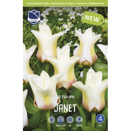 NÄCKROSTULPAN ’JANET’