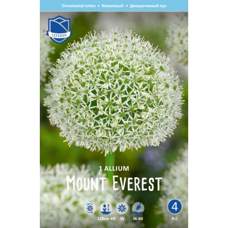 SKÄGGLÖK 'MOUNT EVEREST'