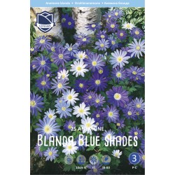BALKANSIPPA 'BLUE SHADES'