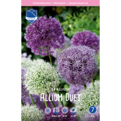 Allium mix ’ALLIUM DUET’ 15 st lök/fp. (Lev. fr vecka 36)